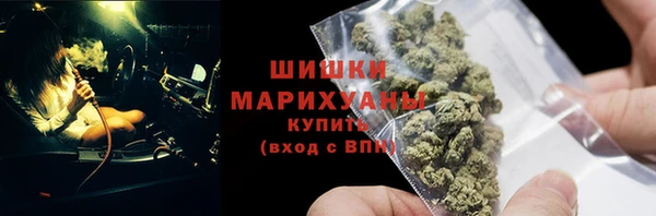 индика Надым
