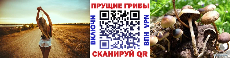 Псилоцибиновые грибы Magic Shrooms  Купить где  Армавир 